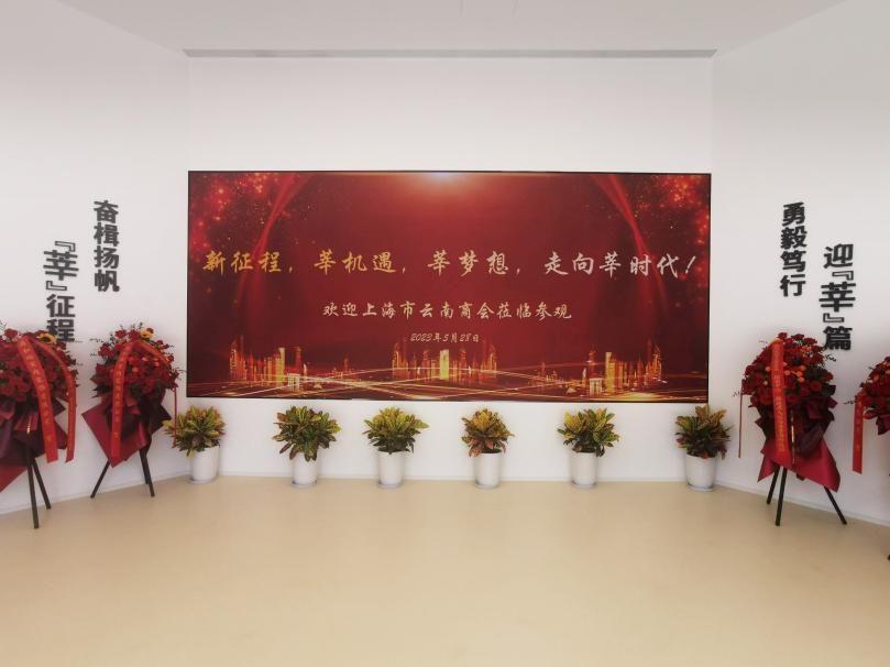 三思,智慧顯示,助力臨港,莘?？萍紙@,人才體系建設